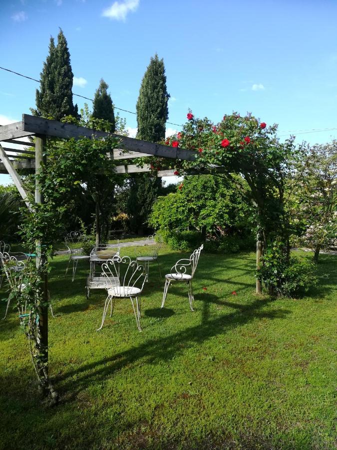 Casa Pianta Hotel Cavallino-Treporti Bagian luar foto