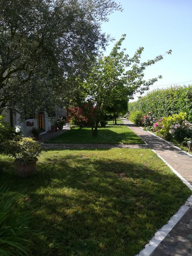 Casa Pianta Hotel Cavallino-Treporti Bagian luar foto