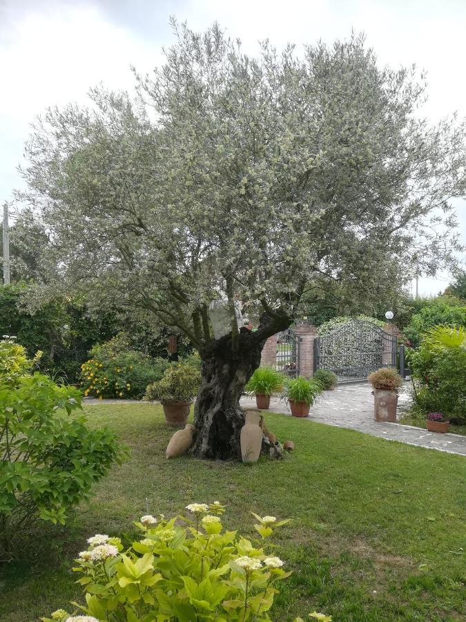 Casa Pianta Hotel Cavallino-Treporti Bagian luar foto