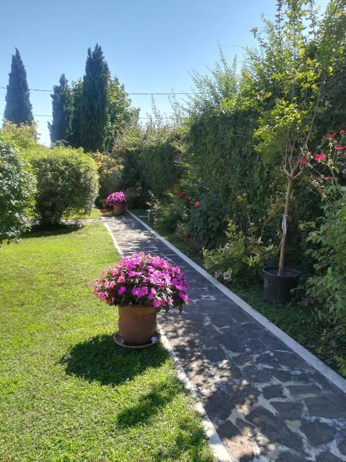 Casa Pianta Hotel Cavallino-Treporti Bagian luar foto